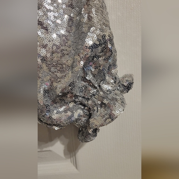 Silver Sequin Dress - Picture 5 of 5
